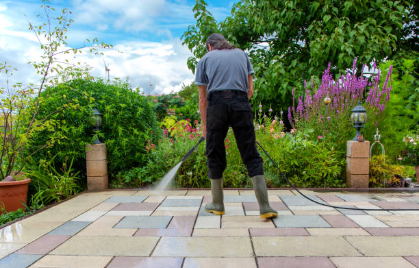 Best Driveway Pressure Washing  in Murphysboro, IL